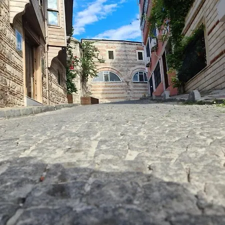 Erkul Old 2 * Provincia di Istanbul